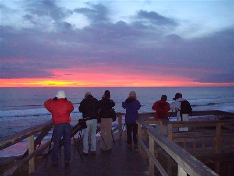 Cape cod 2008 003
